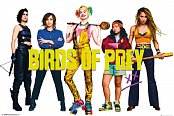 Birds of Prey Poster Pack Group 61 x 91 cm (5)