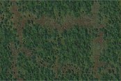 D&D Icons of the Realms: Battle Mat Forest