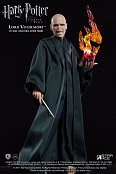 Harry Potter Real Master Series Action Figure 1/8 Lord Voldemort Flash Ver. 23 cm