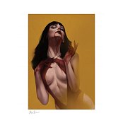 Vampirella Art Print Vengeance of Vampirella 46 x 61 cm - unframed