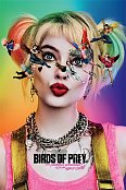 Birds Of Prey Poster Pack Seeing Stars 61 x 91 cm (5)