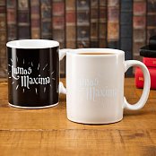 Harry Potter Heat Change Mug Lumos