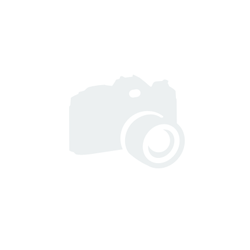 Minions Vinyl Sticker Pack (10) Groovy