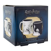 Harry Potter Heat Change Mug Voldemort
