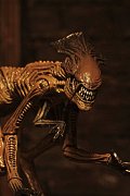 Alien 3 Creature Accessory Pack for Action Figures