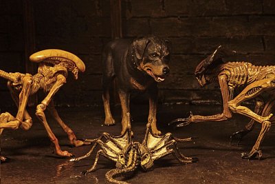 Alien 3 Creature Accessory Pack for Action Figures