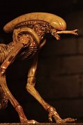 Alien 3 Creature Accessory Pack for Action Figures