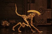 Alien 3 Creature Accessory Pack for Action Figures