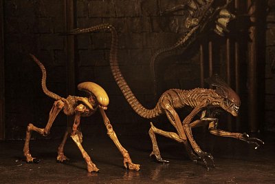 Alien 3 Creature Accessory Pack for Action Figures