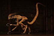 Alien 3 Creature Accessory Pack for Action Figures