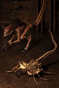 Alien 3 Creature Accessory Pack for Action Figures