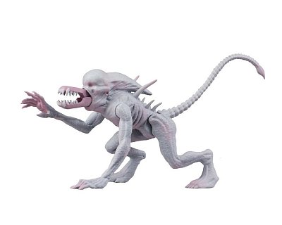 Alien & Predator Classics Action Figures 14 cm Assortment (8)