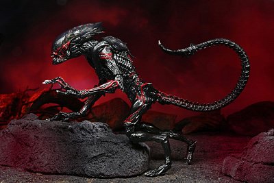 Aliens Action Figure Night Cougar Alien (Kenner Tribute) 23 cm