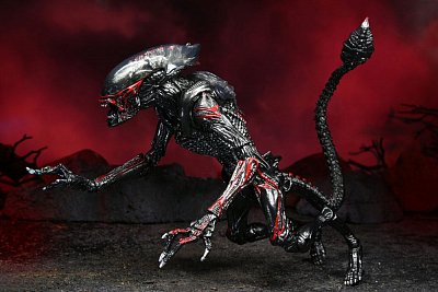 Aliens Action Figure Night Cougar Alien (Kenner Tribute) 23 cm