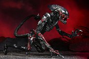 Aliens Action Figure Night Cougar Alien (Kenner Tribute) 23 cm