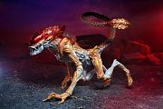 Aliens Action Figure Panther Alien (Kenner Tribute) 23 cm