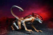 Aliens Action Figure Panther Alien (Kenner Tribute) 23 cm