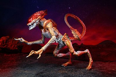 Aliens Action Figure Panther Alien (Kenner Tribute) 23 cm