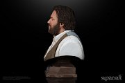 Bud Spencer Bust 1/4 1971 20 cm