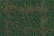 D&D Icons of the Realms: Battle Mat Forest
