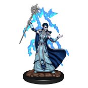 D&D Icons of the Realms Premium Miniature pre-painted Elf Wizard Female Case (6)