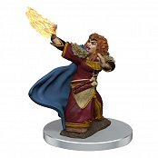 D&D Icons of the Realms Premium Miniature pre-painted Female Dwarf Wizard Case (6)