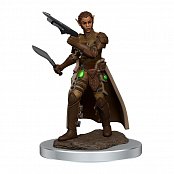 D&D Icons of the Realms Premium Miniature pre-painted Female Shifter Rogue Case (6)