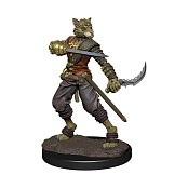 D&D Icons of the Realms Premium Miniature pre-painted Tabaxi Rogue Male Case (6)