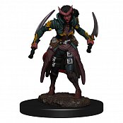 D&D Icons of the Realms Premium Miniature pre-painted Tiefling Rogue Female Case (6)