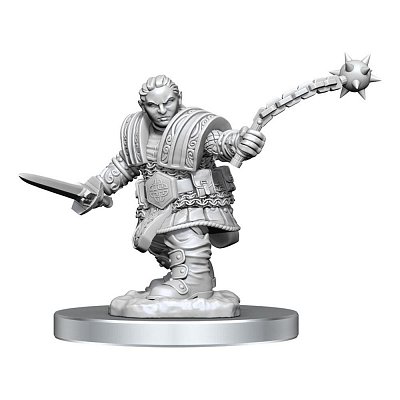 D&D Nolzur\'s Marvelous Miniatures Unpainted Miniature Dwarf Fighter Female Assortment (2)