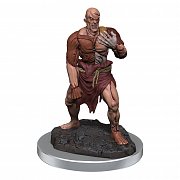 D&D Nolzur\'s Marvelous Miniatures Unpainted Miniatures 2-Packs Flesh Golems Case (4)
