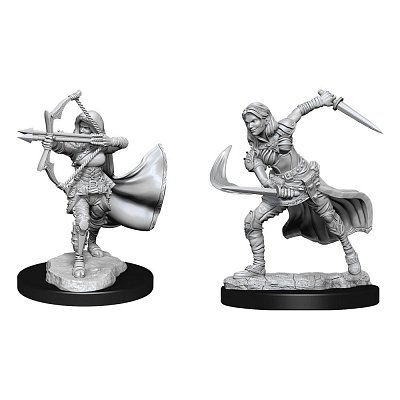 D&D Nolzur\'s Marvelous Miniatures Unpainted Miniatures Air Genasi Female Case (2)
