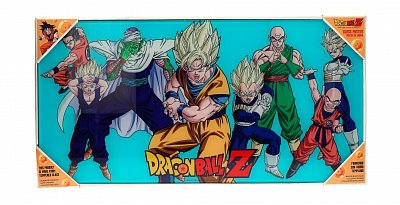 Dragonball Z Glass Poster Heroes 30 x 60 cm