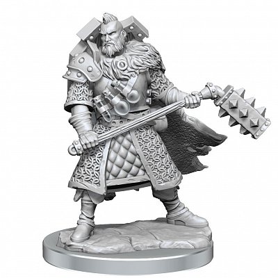 Dungeons & Dragons Frameworks Miniature Model Kit Human Fighter Male