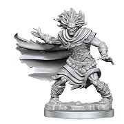 Dungeons & Dragons Frameworks Miniature Model Kit Wight