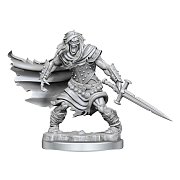 Dungeons & Dragons Frameworks Miniature Model Kit Wight