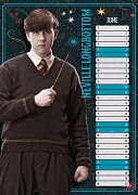 Harry Potter A3 Calendar 2021 *English Version*
