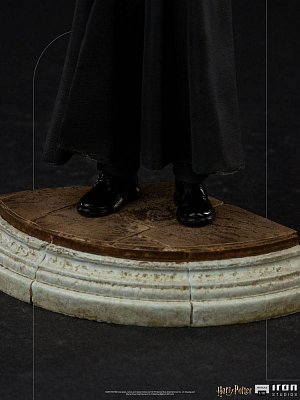 Harry Potter Art Scale Statue 1/10 Harry Potter 17 cm