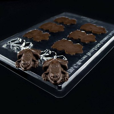 Harry Potter Chocolate Frog Mold