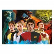 Harry Potter Jigsaw Puzzle Triwizard Champions (1000 pieces)