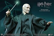 Harry Potter Real Master Series Action Figure 1/8 Lord Voldemort Flash Ver. 23 cm