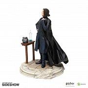 Harry Potter Statue Snape 24 cm --- DAMAGED PACKAGING