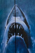 Jaws WoodArts 3D Wooden Wall Art Shark Attack 30 x 40 cm