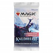 Magic the Gathering Kaldheim Set Booster Display (30) french