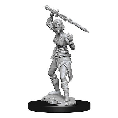 Magic the Gathering Unpainted Miniature Nahiri Case (6)