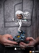 Marvel Comics Mini Co. Deluxe PVC Figure Storm (X-Men) 21 cm