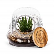 Original Stormtrooper Storage Glass / Terrarium Trooper