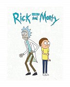 Rick and Morty Art Book The Art of Rick and Morty *English Version* --- DAMAGED PACKAGING
