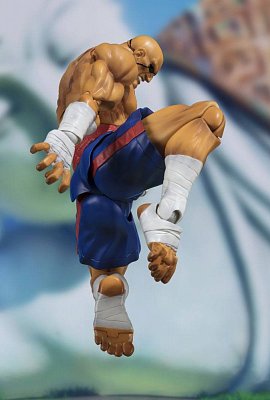 Street Fighter S.H. Figuarts Action Figure Sagat Tamashii Web Exclusive 17 cm --- DAMAGED PACKAGING