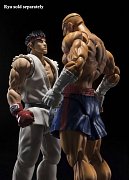 Street Fighter S.H. Figuarts Action Figure Sagat Tamashii Web Exclusive 17 cm --- DAMAGED PACKAGING